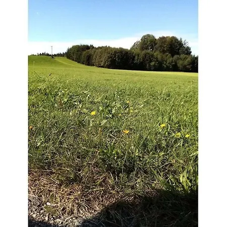 度假居 Ahorn Comfortable *