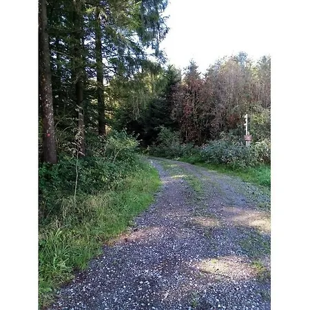 度假居 Ahorn Comfortable *